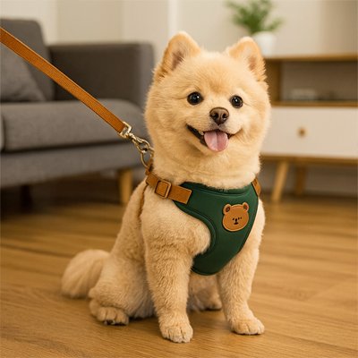 Harnais pour petit Chien