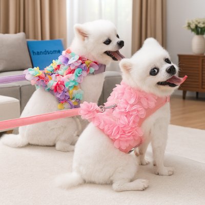 Harnais petit Chien