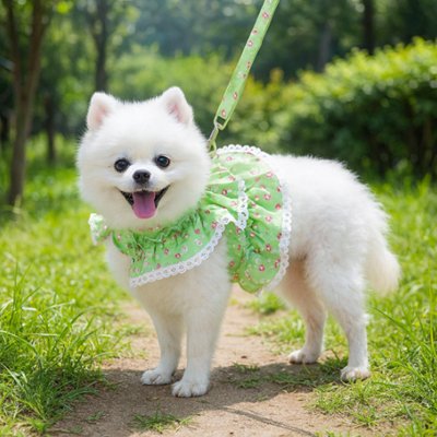Harnais petit Chien