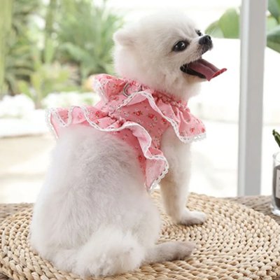 Harnais petit Chien