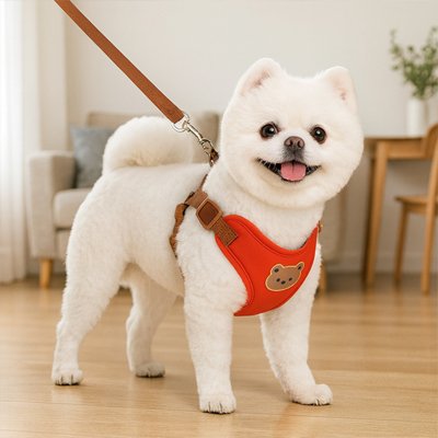 Harnais pour petit Chien