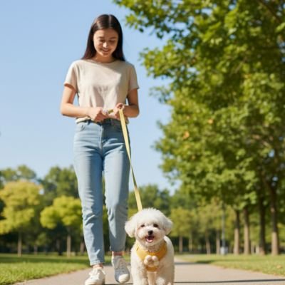 Harnais pour petit Chien