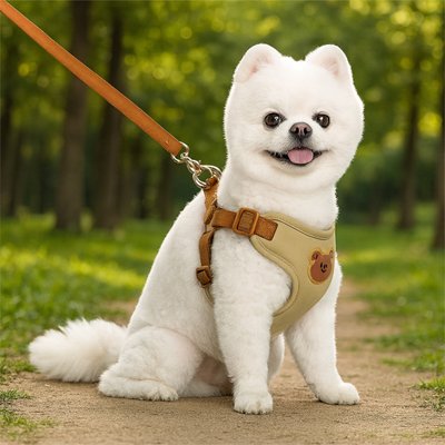 Harnais pour petit Chien